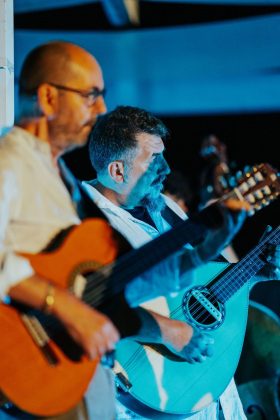 A Torre Guaceto liberata tartaruga Taranta prima del concerto in acustico - Corriere Salentino