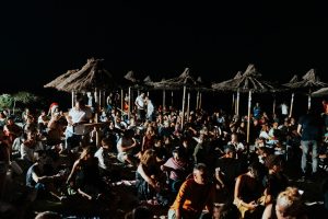 A Torre Guaceto liberata tartaruga Taranta prima del concerto in acustico - Corriere Salentino