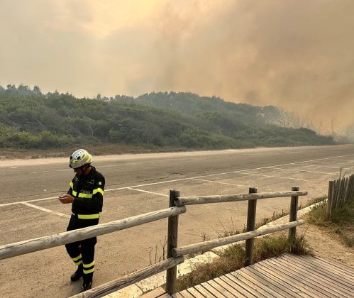 Allarme incendi, Altamura (Conapo) e Cirillo (Cgil vvf): “Non basta emettere le ordinanze, occorre dare seguito” - Corriere Salentino