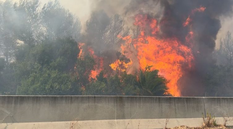 Allarme incendi, Altamura (Conapo) e Cirillo (Cgil vvf): “Non basta emettere le ordinanze, occorre dare seguito” - Corriere Salentino