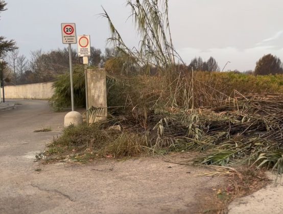 Allarme incendi, Altamura (Conapo) e Cirillo (Cgil vvf): “Non basta emettere le ordinanze, occorre dare seguito” - Corriere Salentino