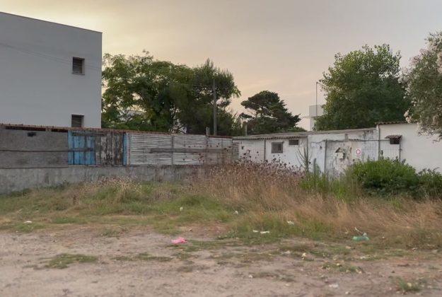 Allarme incendi, Altamura (Conapo) e Cirillo (Cgil vvf): “Non basta emettere le ordinanze, occorre dare seguito” - Corriere Salentino