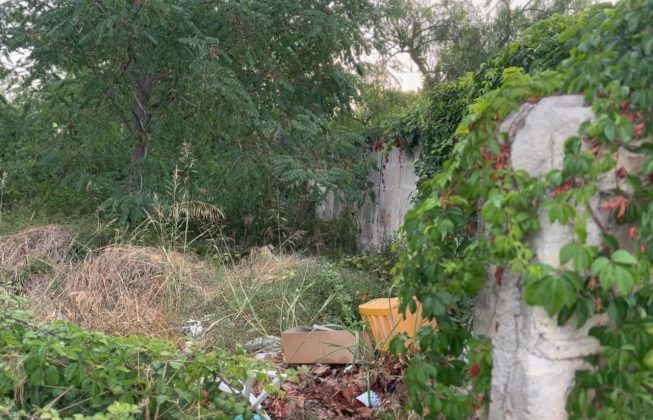 Allarme incendi, Altamura (Conapo) e Cirillo (Cgil vvf): “Non basta emettere le ordinanze, occorre dare seguito” - Corriere Salentino