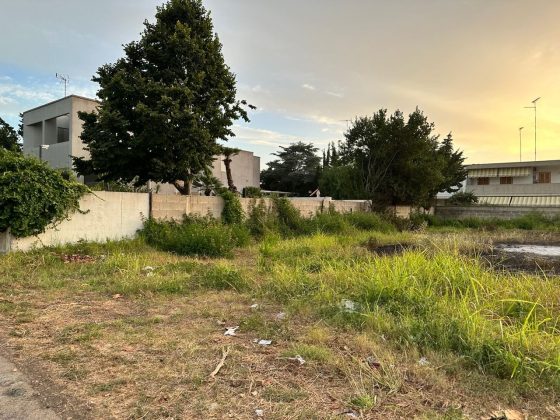 Allarme incendi, Altamura (Conapo) e Cirillo (Cgil vvf): “Non basta emettere le ordinanze, occorre dare seguito” - Corriere Salentino