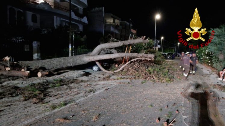 Tragedia sfiorata nella marina: grosso pino si abbatte su auto in sosta, era stata appena parcheggiata - Corriere Salentino