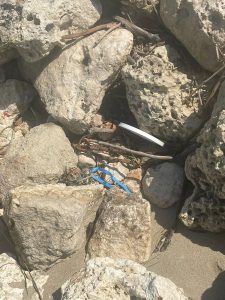 Torre Chianca, ad agosto siringhe e sporcizia nella spiaggia libera. I residenti protestano: “Non è un bel biglietto da visita per i turusti” - Corriere Salentino