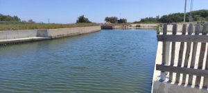 “Darsena pronta ad aprire con i circa 160 posti barca previsti. La replica dell’assessore ai Lavori Pubblici Nuzzaci: “Scorrano dovrebbe tacere” - Corriere Salentino