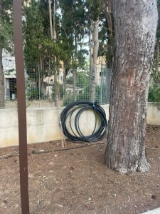 Parco ex Galateo, la denuncia: “Un altro parco abbandonato”. Il reportage fotografico sullo stato di un piccolo polmone verde chiuso per rischio crolli alberi e poi riaperto - Corriere Salentino