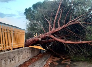 Tromba d’aria, domani chiuse le scuole in Via Cantobelli, Viale Romagna, Via Sanzio e via Abruzzi