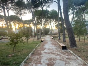 Parco ex Galateo, la denuncia: “Un altro parco abbandonato”. Il reportage fotografico sullo stato di un piccolo polmone verde chiuso per rischio crolli alberi e poi riaperto - Corriere Salentino