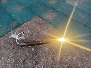 Parco ex Galateo, la denuncia: “Un altro parco abbandonato”. Il reportage fotografico sullo stato di un piccolo polmone verde chiuso per rischio crolli alberi e poi riaperto - Corriere Salentino