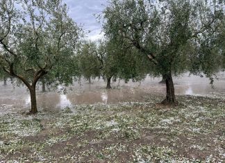Prosegue l’allerta gialla in Puglia fino a questa sera alle 20