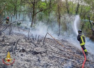 Inferno di fuoco a Santa Cesarea Terme: fiamme lambiscono anche edifici