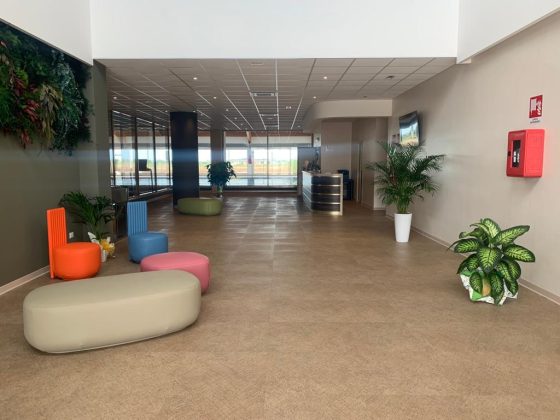 Nardò, inaugurata la piscina comunale Icos con palestra, sauna e termario - Corriere Salentino