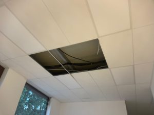 Parco ex Galateo, la denuncia: “Un altro parco abbandonato”. Il reportage fotografico sullo stato di un piccolo polmone verde chiuso per rischio crolli alberi e poi riaperto - Corriere Salentino