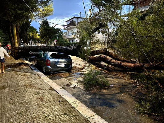 Ondata di maltempo sul Salento: acquazzoni, forte vento e grandine. Alberi sradicati e danni - Corriere Salentino