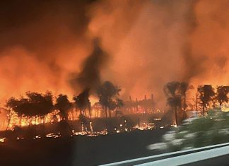 Ancora roghi nel Salento, brucia il boschetto Buia tra Lequile e Lecce: incendio spento dopo 6 ore
