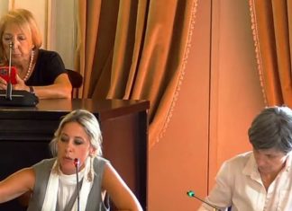 Alberi pericolati, si chiude la discussione per la sostituzione delle alberature. L’idea di incrementare il verde pedonalizzando Piazza Mazzini