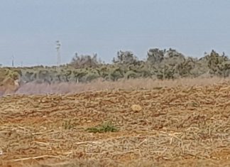 Miasmi in località Coppola, a Surbo: le opposizioni insistono sulle analisi dei terreni e sulla trasparenza