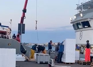 Di nuovo mattanza nei mari del Salento da motonavi siciliane, Pagliaro: “la Regione dorme, si discuta subito mia mozione per creare zone cuscinetto”