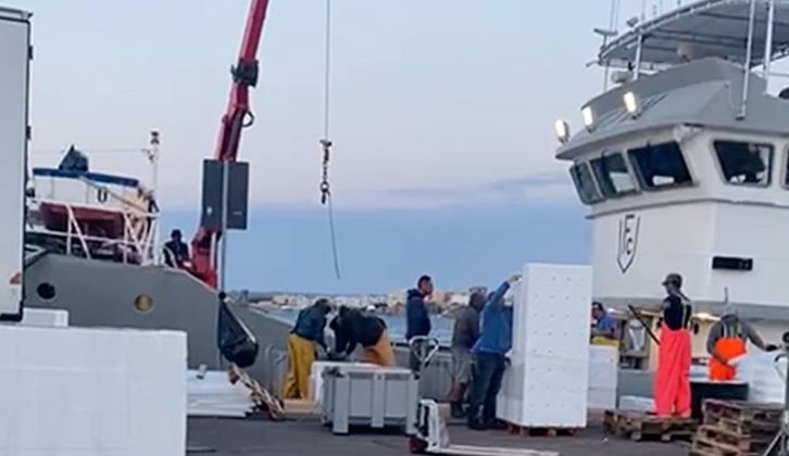 Di nuovo mattanza nei mari del Salento da motonavi siciliane, Pagliaro: "la Regione dorme, si discuta subito mia mozione per creare zone cuscinetto" - Corriere Salentino