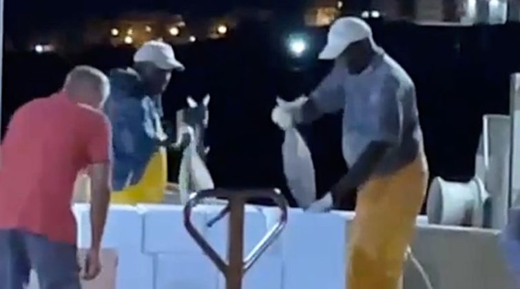 Di nuovo mattanza nei mari del Salento da motonavi siciliane, Pagliaro: "la Regione dorme, si discuta subito mia mozione per creare zone cuscinetto" - Corriere Salentino