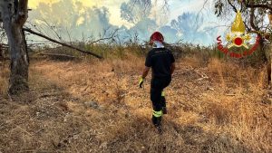 Fiamme nella pineta "Buia" pompieri al lavoro per domare il rogo - Corriere Salentino