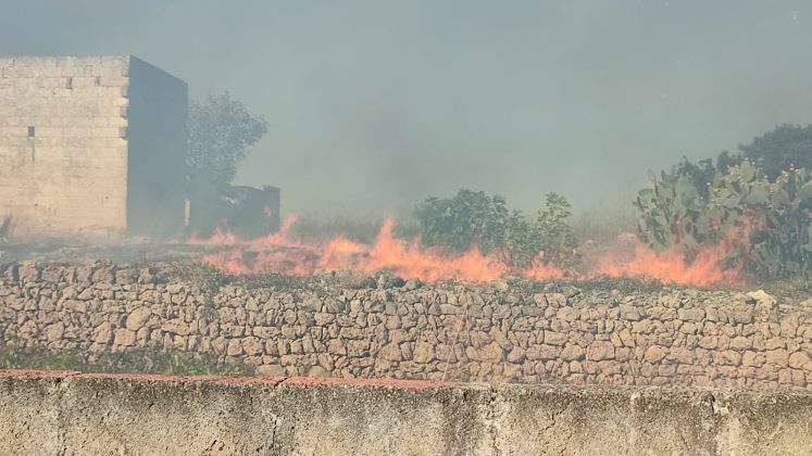 Giornata di fuoco nel Basso Salento: le fiamme raggiungono le case. Centro abitato invaso dal fumo - Corriere Salentino
