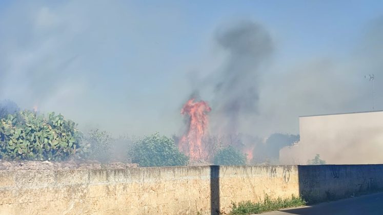 Giornata di fuoco nel Basso Salento: le fiamme raggiungono le case. Centro abitato invaso dal fumo - Corriere Salentino