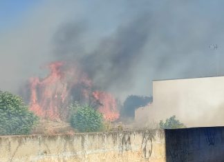 Giornata di fuoco nel Basso Salento: le fiamme raggiungono le case. Centro abitato invaso dal fumo
