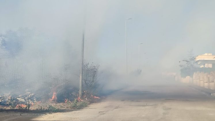 Giornata di fuoco nel Basso Salento: le fiamme raggiungono le case. Centro abitato invaso dal fumo - Corriere Salentino