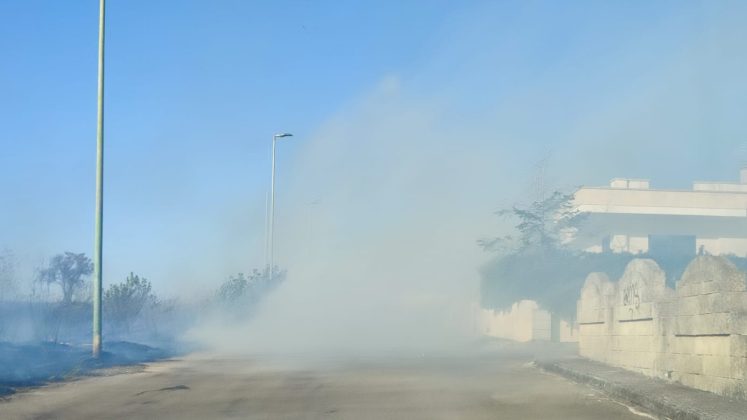 Giornata di fuoco nel Basso Salento: le fiamme raggiungono le case. Centro abitato invaso dal fumo - Corriere Salentino