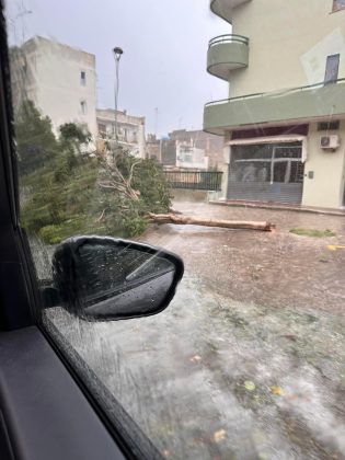 Ondata di maltempo sul Salento: acquazzoni, forte vento e grandine. Alberi sradicati e danni - Corriere Salentino