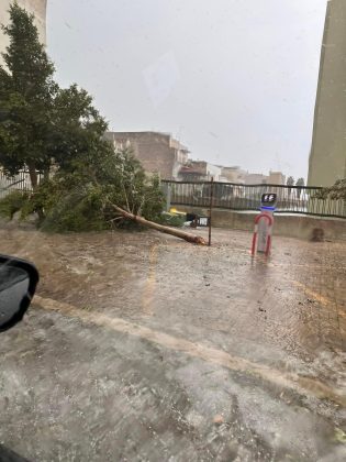 Ondata di maltempo sul Salento: acquazzoni, forte vento e grandine. Alberi sradicati e danni - Corriere Salentino