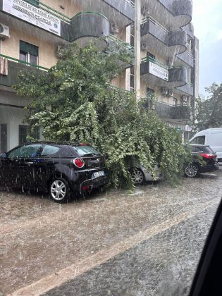 Ondata di maltempo sul Salento: acquazzoni, forte vento e grandine. Alberi sradicati e danni - Corriere Salentino