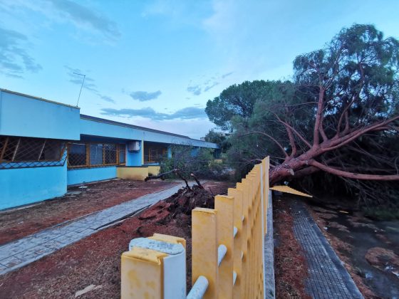 Ondata di maltempo sul Salento: acquazzoni, forte vento e grandine. Alberi sradicati e danni - Corriere Salentino