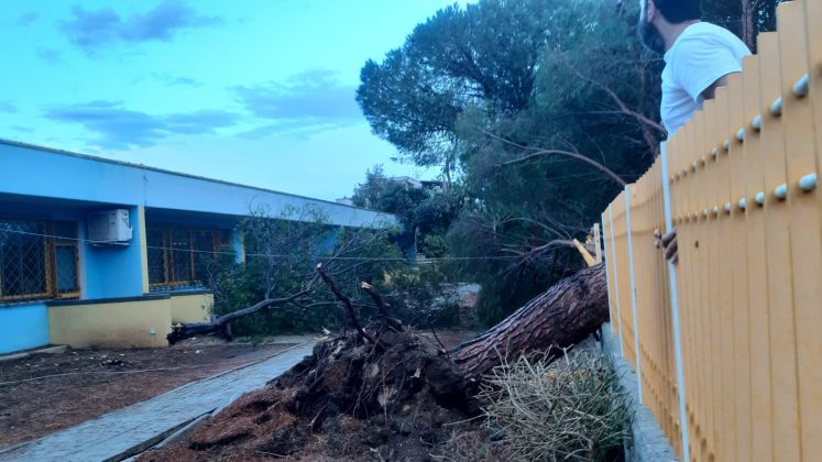 Ondata di maltempo sul Salento: acquazzoni, forte vento e grandine. Alberi sradicati e danni - Corriere Salentino