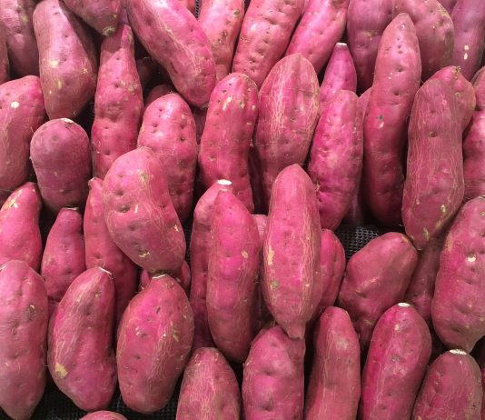Eccellenze gastronomiche salentine: Patata zuccherina, il tubero venuto da lontano con il cuore salentino