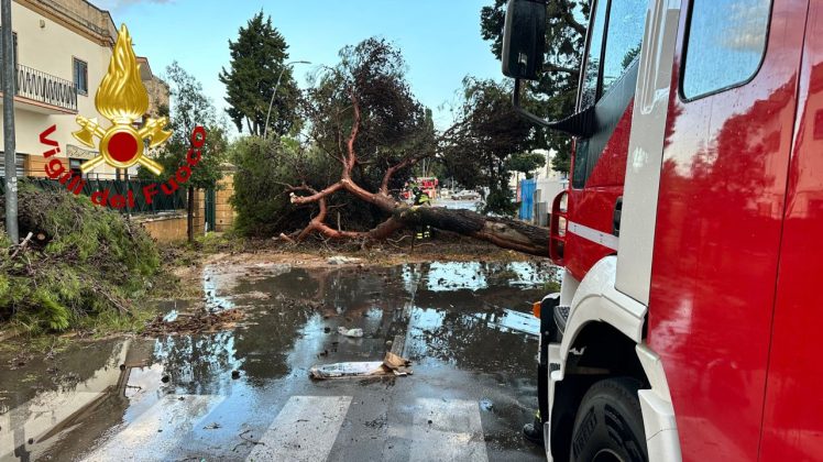 Ondata di maltempo sul Salento: acquazzoni, forte vento e grandine. Alberi sradicati e danni - Corriere Salentino