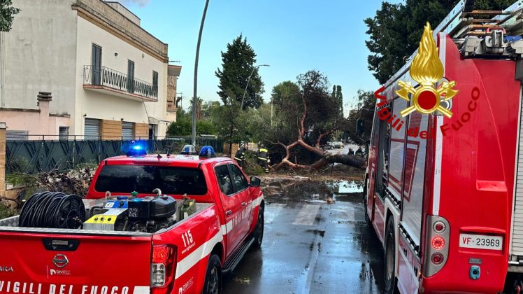 Ondata di maltempo sul Salento: acquazzoni, forte vento e grandine. Alberi sradicati e danni - Corriere Salentino
