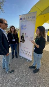 “L’olivicoltura nel Salento non è morta”. L’esempio di Agro a Surbo. “Tipica Mediterranea”, cobranding e sostenibilità per vincere la sfida del mercato - Corriere Salentino