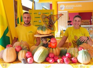 “Zucca day”, lezioni di intaglio delle zucche per prepararsi ad Ognissanti