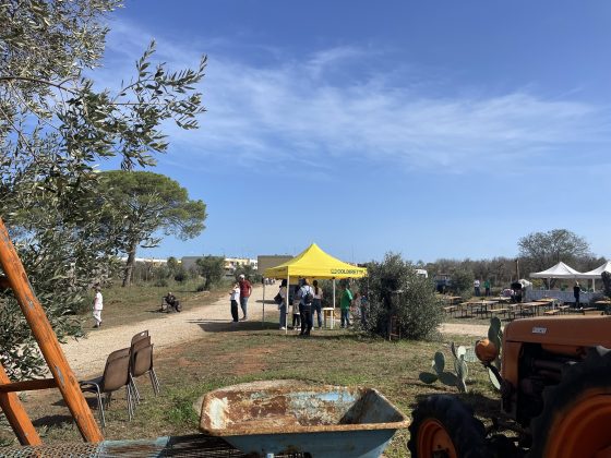“L’olivicoltura nel Salento non è morta”. L’esempio di Agro a Surbo. “Tipica Mediterranea”, cobranding e sostenibilità per vincere la sfida del mercato - Corriere Salentino