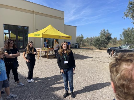 “L’olivicoltura nel Salento non è morta”. L’esempio di Agro a Surbo. “Tipica Mediterranea”, cobranding e sostenibilità per vincere la sfida del mercato - Corriere Salentino