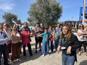 “L’olivicoltura nel Salento non è morta”. L’esempio di Agro a Surbo. “Tipica Mediterranea”, cobranding e sostenibilità per vincere la sfida del mercato - Corriere Salentino