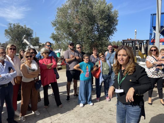 “L’olivicoltura nel Salento non è morta”. L’esempio di Agro a Surbo. “Tipica Mediterranea”, cobranding e sostenibilità per vincere la sfida del mercato - Corriere Salentino