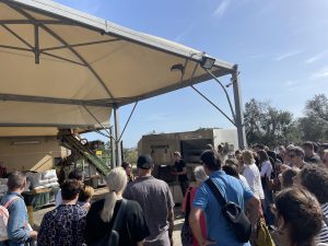 “L’olivicoltura nel Salento non è morta”. L’esempio di Agro a Surbo. “Tipica Mediterranea”, cobranding e sostenibilità per vincere la sfida del mercato - Corriere Salentino