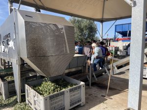 “L’olivicoltura nel Salento non è morta”. L’esempio di Agro a Surbo. “Tipica Mediterranea”, cobranding e sostenibilità per vincere la sfida del mercato - Corriere Salentino