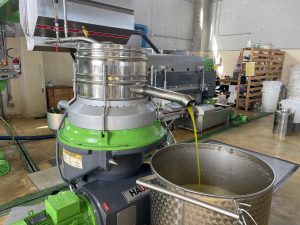 “L’olivicoltura nel Salento non è morta”. L’esempio di Agro a Surbo. “Tipica Mediterranea”, cobranding e sostenibilità per vincere la sfida del mercato - Corriere Salentino