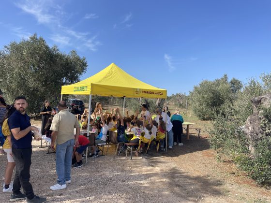 “L’olivicoltura nel Salento non è morta”. L’esempio di Agro a Surbo. “Tipica Mediterranea”, cobranding e sostenibilità per vincere la sfida del mercato - Corriere Salentino